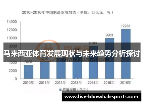 马来西亚体育发展现状与未来趋势分析探讨